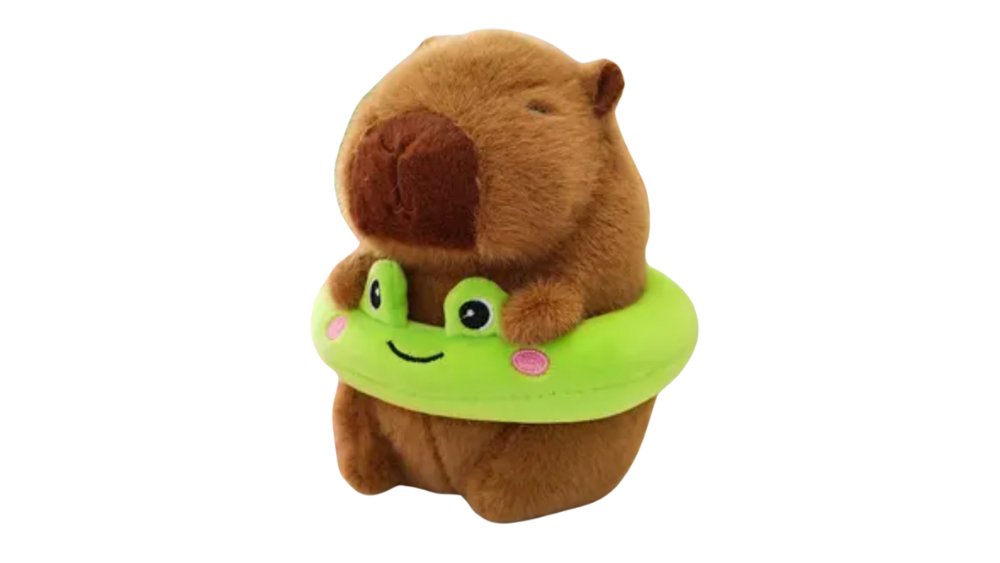 Capybara small wearing frog